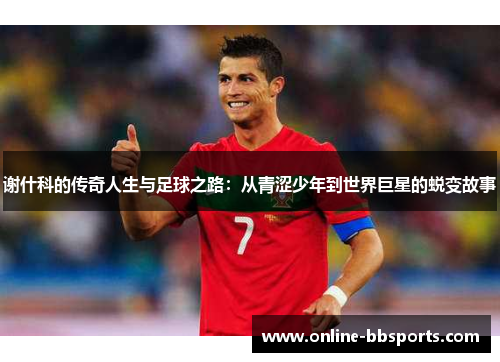 谢什科的传奇人生与足球之路：从青涩少年到世界巨星的蜕变故事